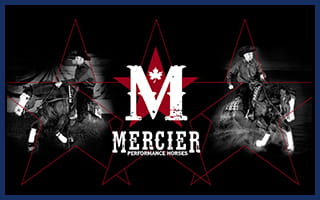 Mercier