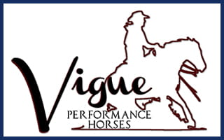 Vigue